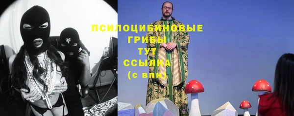 apvp Бугульма