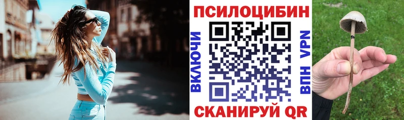 Псилоцибиновые грибы Cubensis  Александровское 