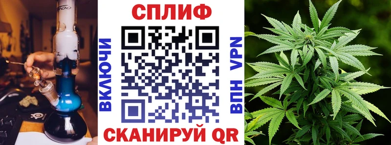 Шишки марихуана план  где продают наркотики  OMG ONION  Александровское 